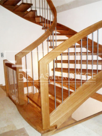 Bolzenstiegen von Hassler