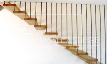 Bolzenstiegen von Hassler