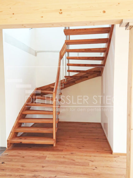 Bolzenstiegen von Hassler