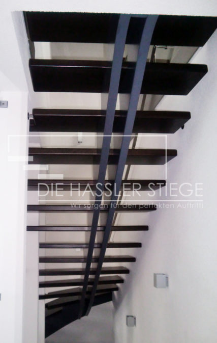 Mittelträger von Hassler