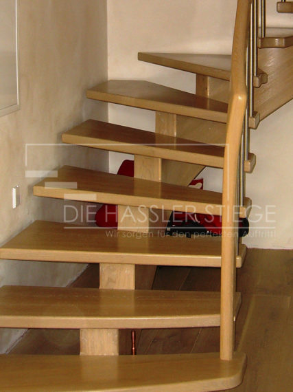 Mittelträger von Hassler